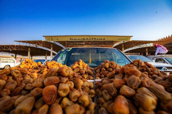 القصيم تتهيأ لانطلاق أكبر كرنفال للتمور في العالم