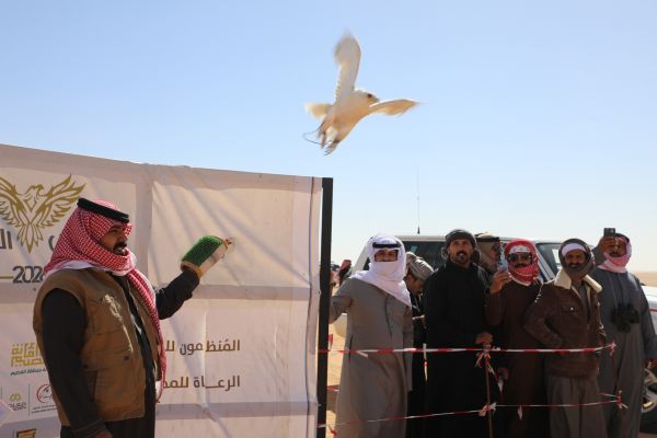 #أمانة_القصيم تواصل #مهرجان_القصيم_للصقور في نسخته التاسعة بالأسياح