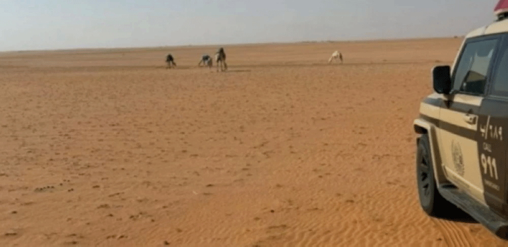 الأمن البيئي :ضبط مخالفًا لنظام البيئة في محمية الإمام عبدالعزيز بن محمد الملكية