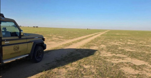 البيئة :ضبط مُخالف لنظام البيئة بمحمية الملك عبدالعزيز الملكية