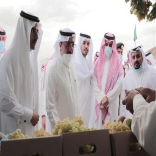 أمين عسير يزور مهرجان العنب بالماوين