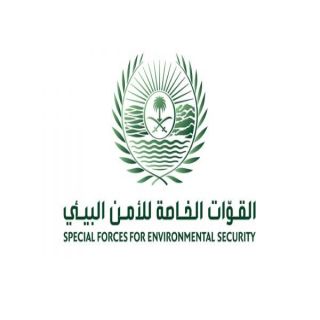 في عسير ضبط مقيم يمني لإشعاله النار في أراضي الغطاء النباتي