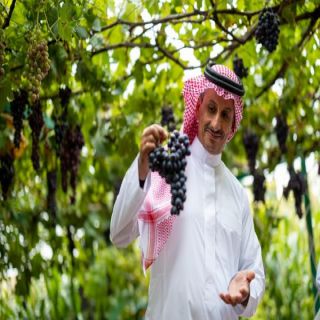 وزير السياحة عبر "أكس" استمتعت برحلتي في الباحة