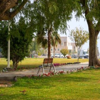 #امانة_القصيم تعزز أنسنة المدن عبر مبادرة أرض القصيم الخضراء