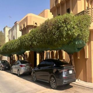 الوزير الحقيل عبر "أكس"  زراعة الشجر زينة وظلّ وحياة