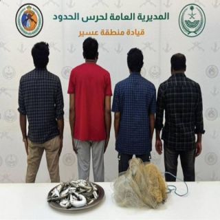 ضبط 4 مخالفين للائحة الأمن والسلامة لمزاولي الأنشطة البحرية في عسير