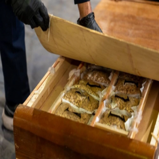 «زاتكا» تحبط 4 محاولات لتهريب 261 ألف حبة إمفيتامين و10 كيلو من الميثامفيتامين