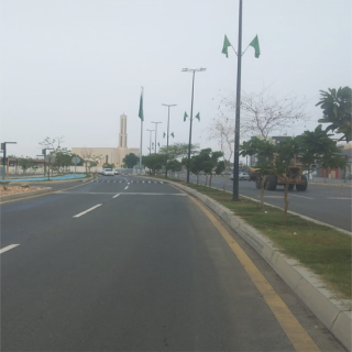 ساحات وميادين مُحافظة المجاردة تكتسي باللون الأخضر إحتفاءً باليوم الوطني الـ95