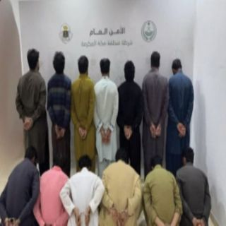 القبض على (13) من الجنسية الباكسانية لسرقة (181) رأساً من الأغنام في الطائف