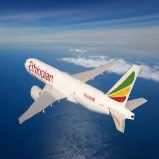 لخطوط الإثيوبية تدشن 4 رحلات أسبوعيًا من جازان إلى أديس أبابا