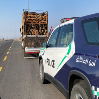 القوة الخاصة لأمن الطرق بمنطقة المدينة المنورة تضبط مخالفًا لنظام البيئة.