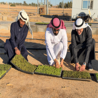 10 آلاف نبتة ديدحان وشقاري تجمّل مركز الأمير فيصل بن مشعل بالقصيم