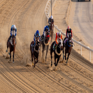 ميدان فروسية الجبيل يقيم سباقه الثالث