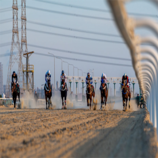 ميدان فروسية الجبيل يُقيم سباقه الخامس  ضمن سباق موسم 1447هـ،