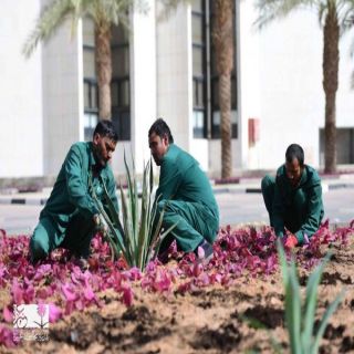 #امانة_القصيم تعزز الغطاء النباتي وتوسع أعمال التشجير في محافظة عنيزة