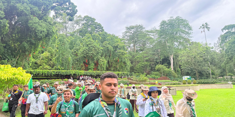image image